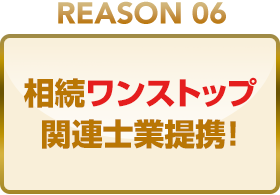 REASON 06